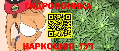 spice Ставрополь
