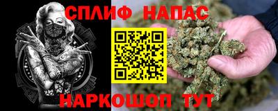 spice Ставрополь