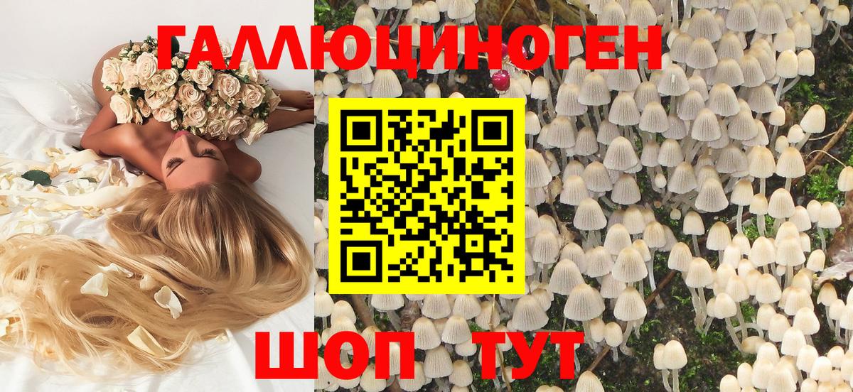 Псилоцибиновые грибы Magic Shrooms  Вход с VPN  Псилоцибиновые грибы Magic Shrooms  Электрогорск 