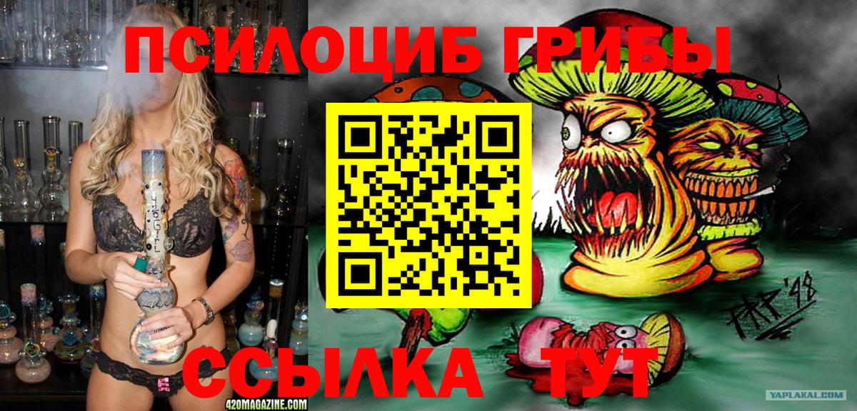 Галлюциногенные грибы Cubensis Электрогорск